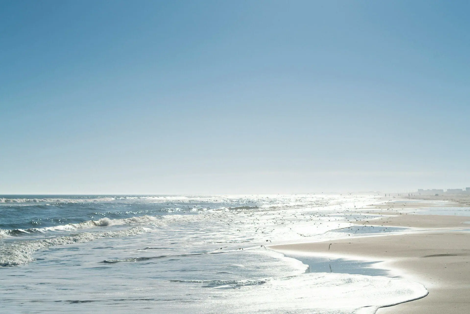 jersey shore
