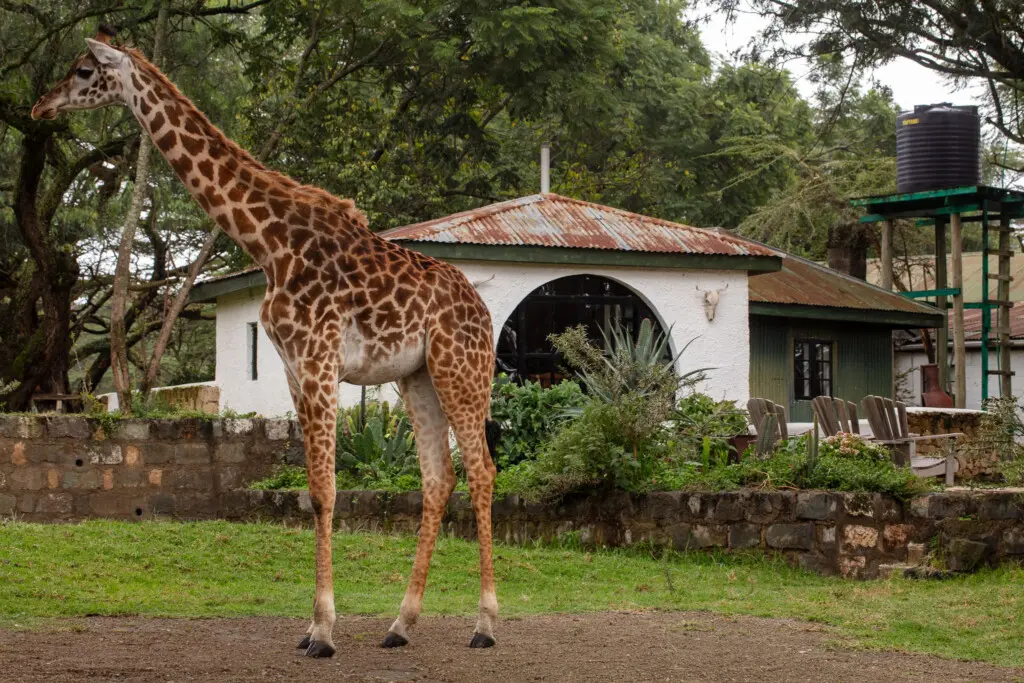 72a6229e 788e 4c88 b6cf ca1a2834f5f9.jpg