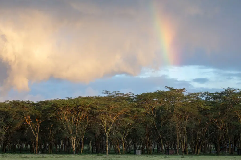 SANCTUARY SHOTS 142 (1)