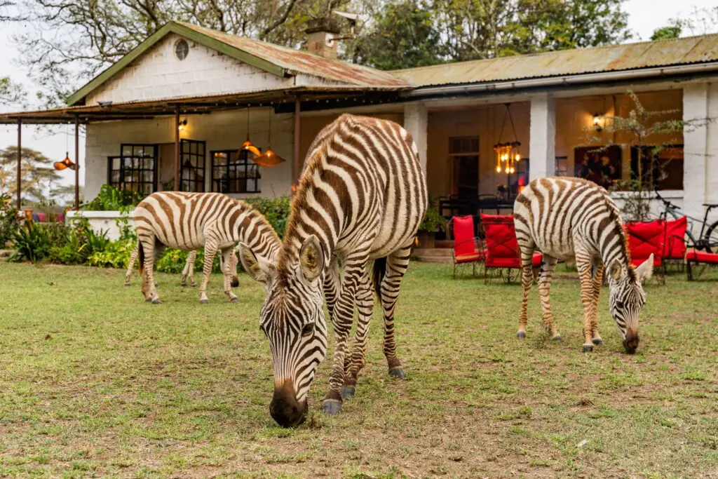 1a2fe238 fd21 4b51 bf52 dc68b5889a4e