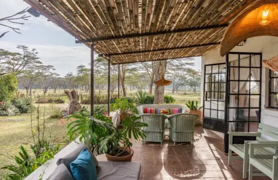 1b9efdbc 410c 4e94 b809 46d3a3e1890c