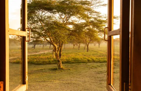 29340589 49ba 46a1 a8db 363113d1406e