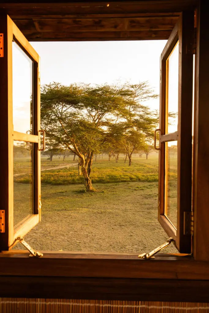 29340589 49ba 46a1 a8db 363113d1406e