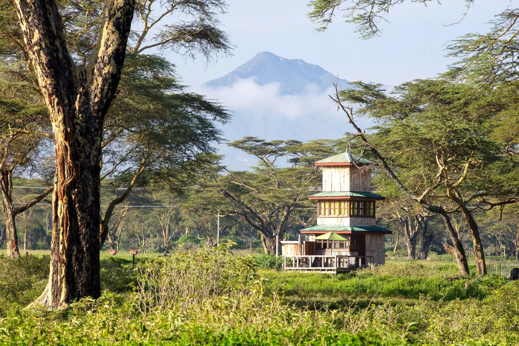 29aa02b8 f88c 47b6 b65a abf97aa94e61