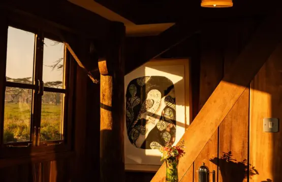 2e8ed235 d4f2 467b bd34 047a129c4ffc