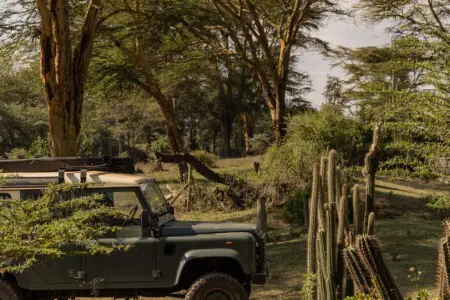 3696782f 054a 445f a65c dfcc95b1cd83