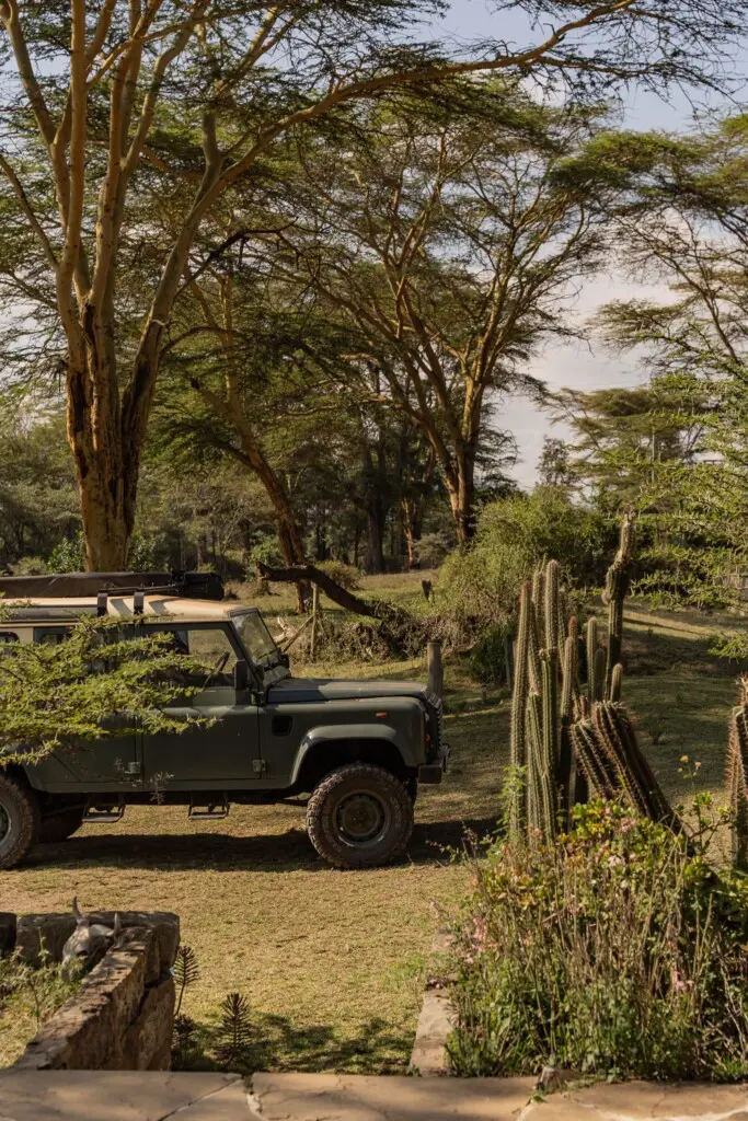 3696782f 054a 445f a65c dfcc95b1cd83