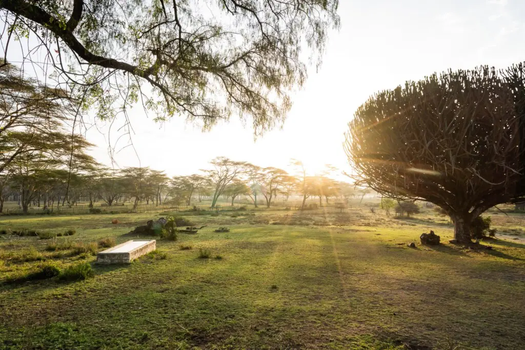 4325cf47 37f5 4f34 ae44 41f1e233444c