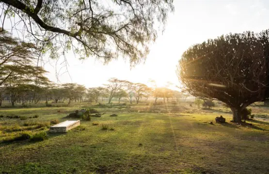 4325cf47 37f5 4f34 ae44 41f1e233444c