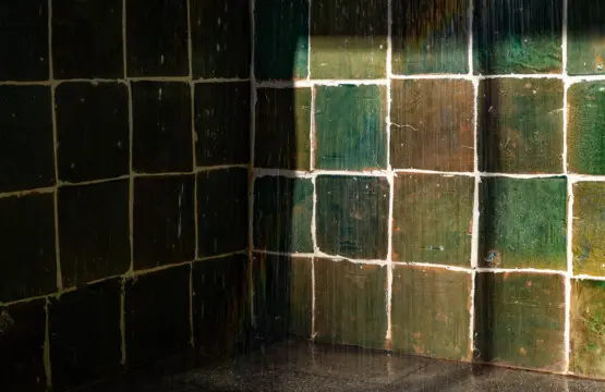 4498fba8 d15e 4c13 a833 36404fd4a501