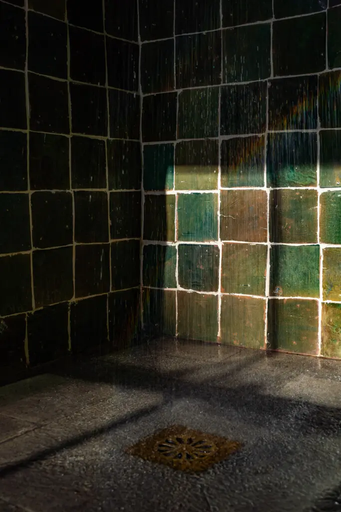 4498fba8 d15e 4c13 a833 36404fd4a501