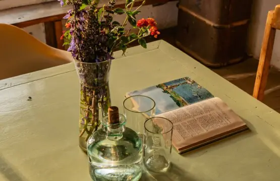 490ea700 f5d0 44ba a0ad efc2abab4a02