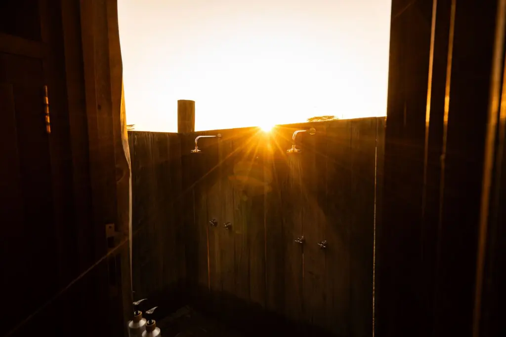 5e7e7266 c459 439d 9867 94b1acf3bbcd