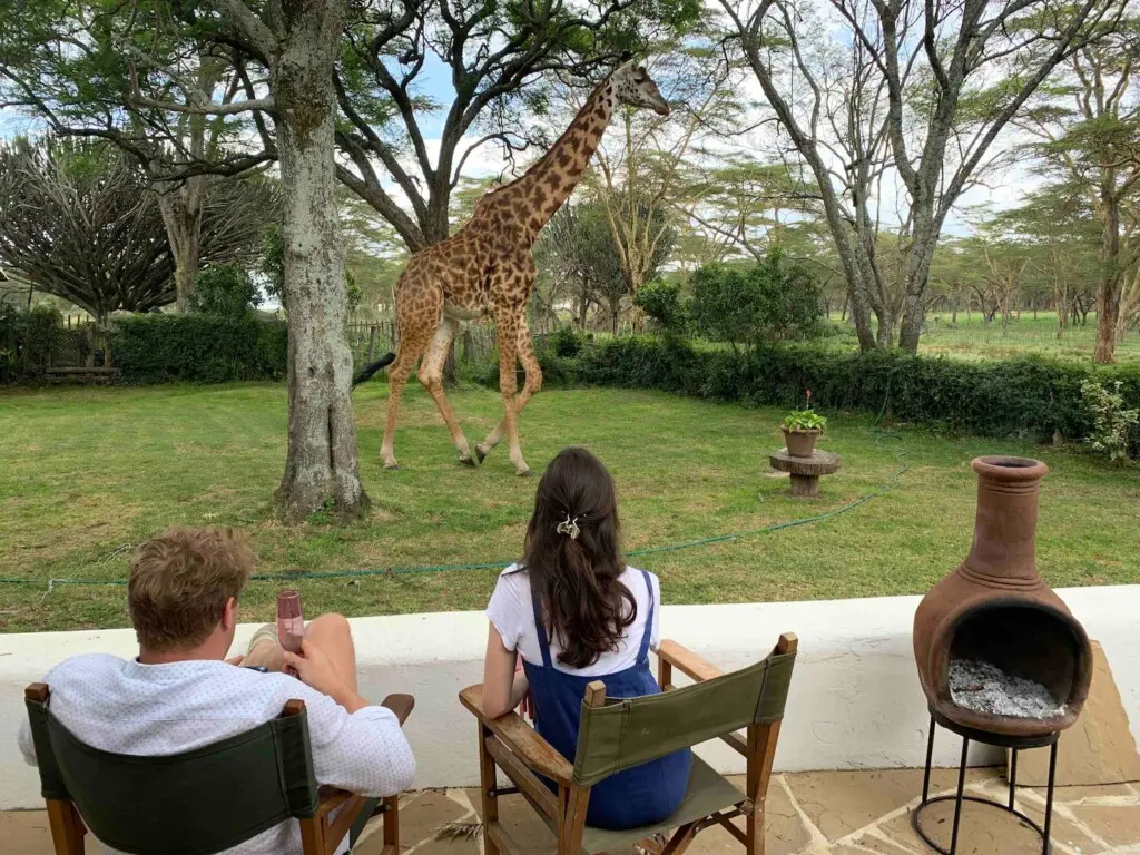 77288a2c a1ce 450a 972f 682ccd740a49