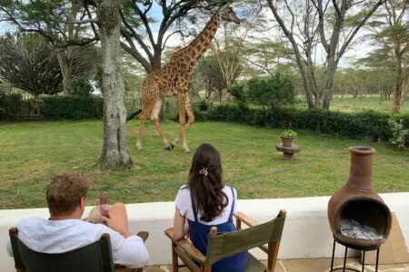 77288a2c a1ce 450a 972f 682ccd740a49