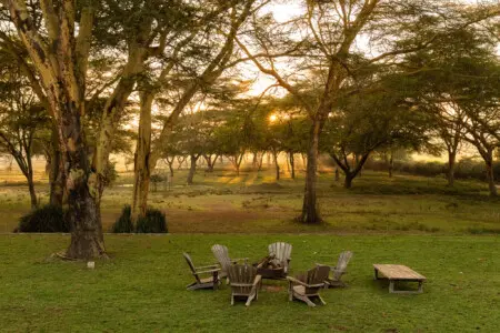 7fa4da15 60f0 4dc5 a0ae 6f84322836cf