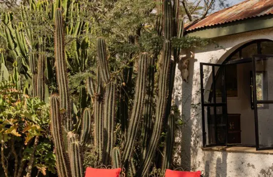 91e4b2a4 0ada 47c6 91b5 014c3355a8eb