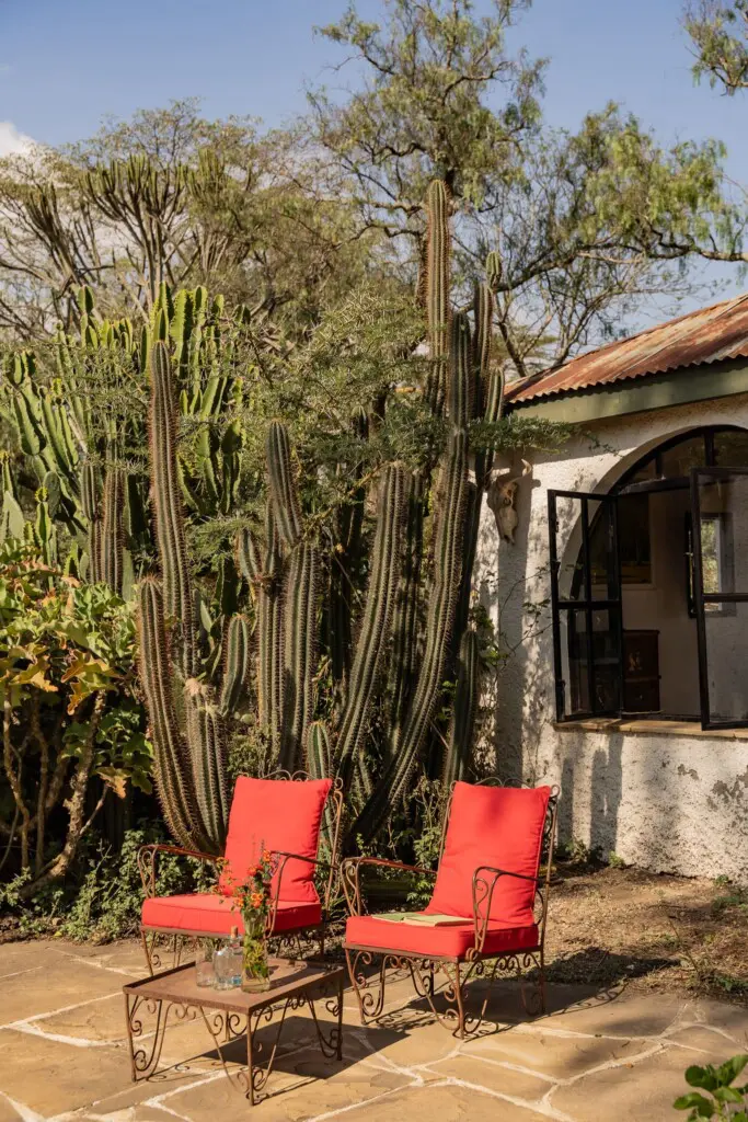 91e4b2a4 0ada 47c6 91b5 014c3355a8eb