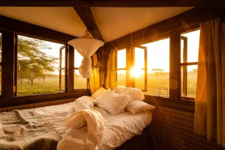 9fe36933 525a 4e25 9110 404c8eb34151