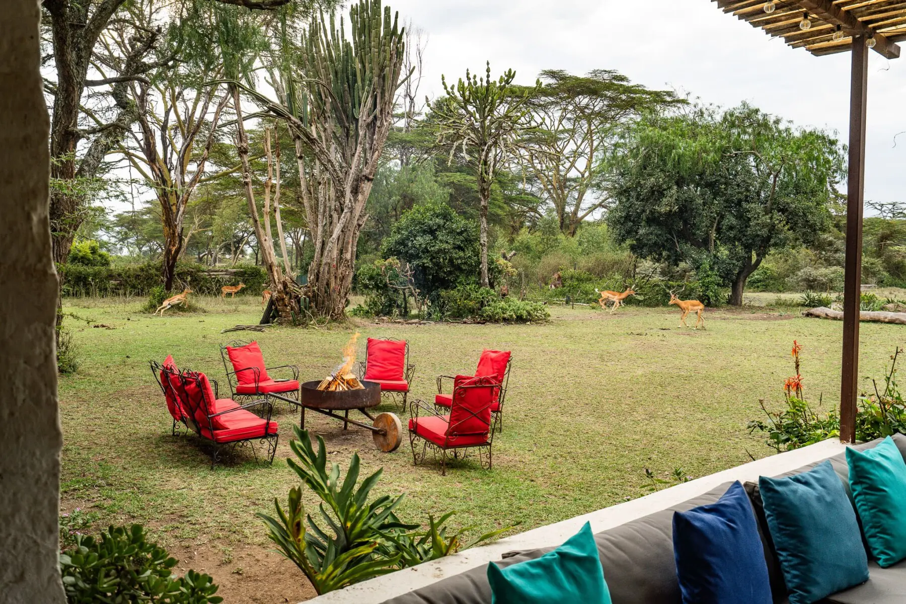 cafb9f90 8895 4258 8fd1 81679c2554d5