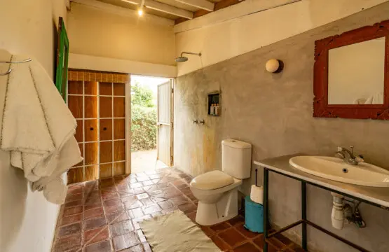 cf015f56 278d 40c9 86ab 874319a8561c