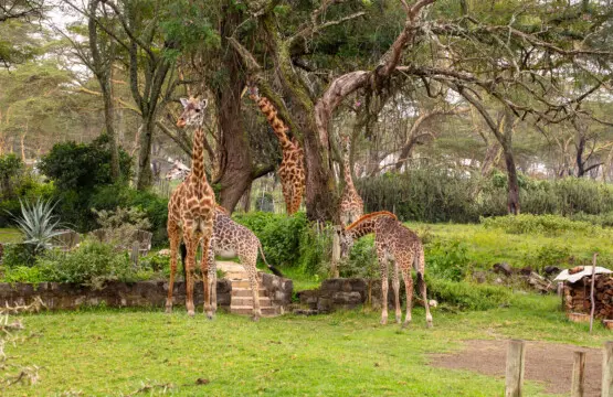 d40d2cf8 599e 4ef4 989b f1a7bb4bba83